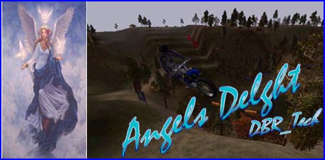 Angels Delight Track Picture