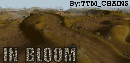In Bloom Track Picture